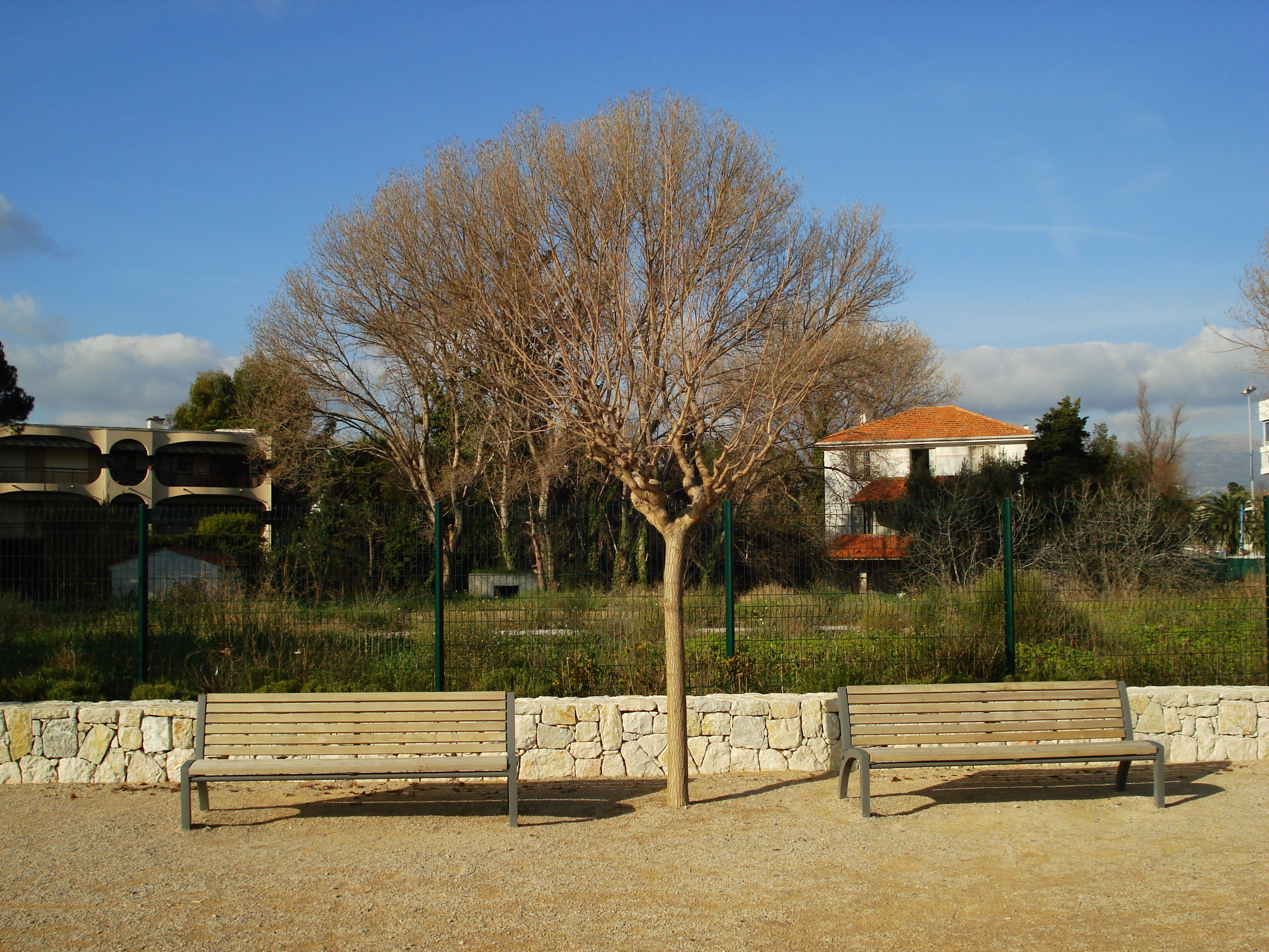 Photo France Villeneuve Loubet Plage de Villeneuve Loubet 2007-01 11