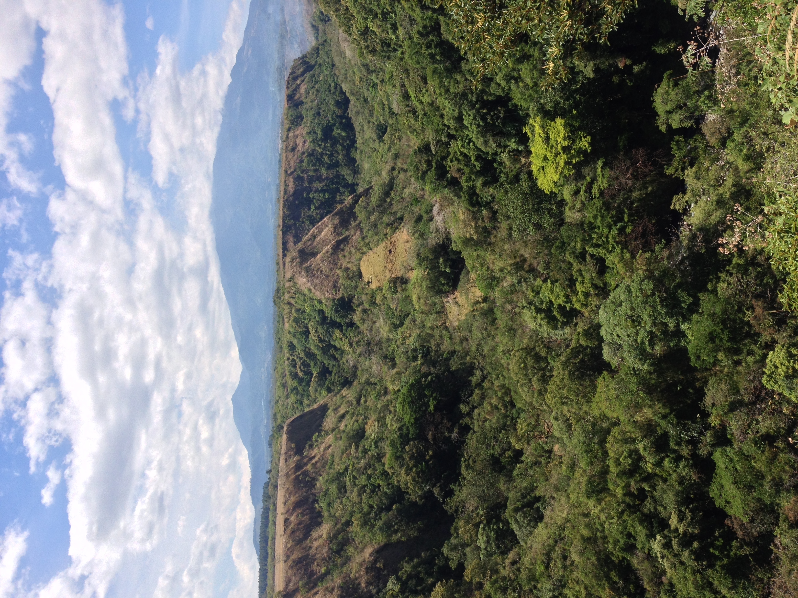 Photo Panama Boquete 2015-03 128