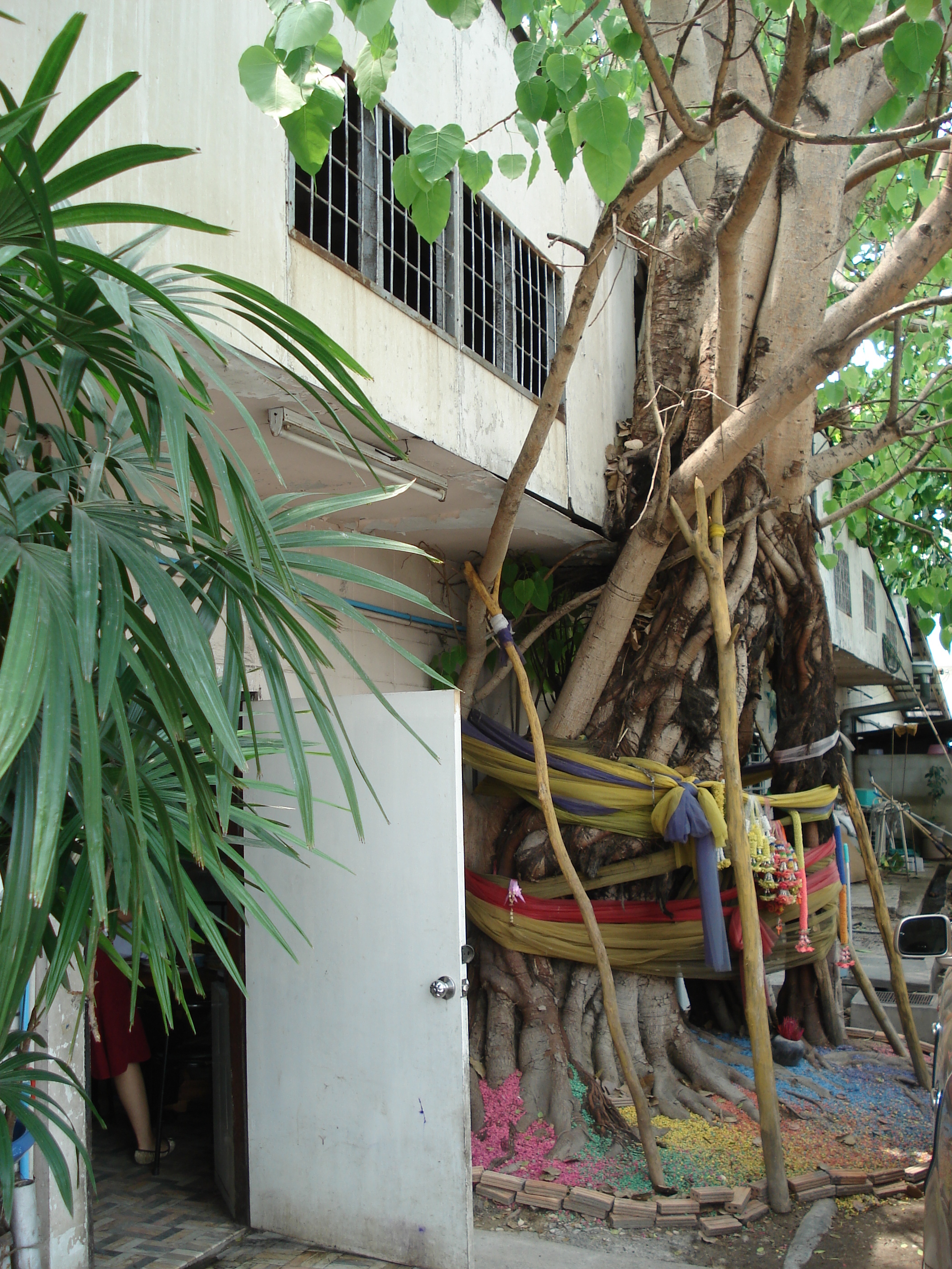 Photo Thaïlande Chiang Mai Centre(intra Canal) Rue Sam Lan 2006-04 22