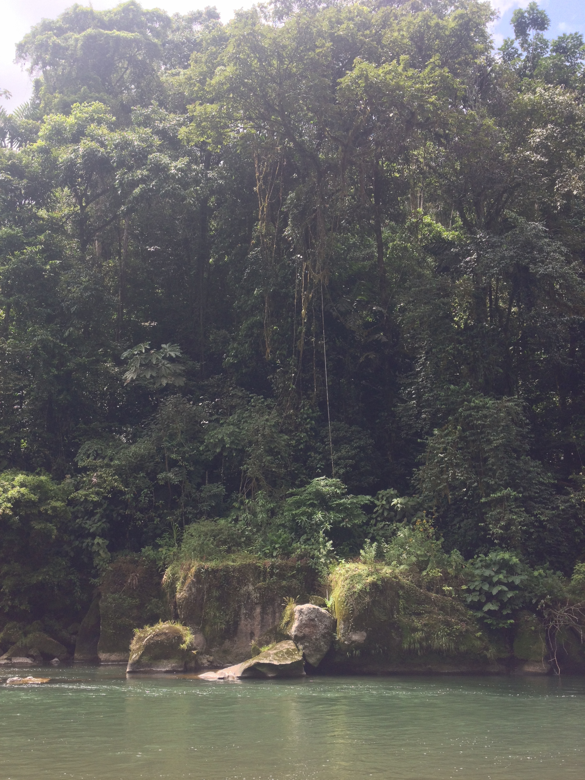 Photo Costa Rica Rivière Pacuare 2015-03 123