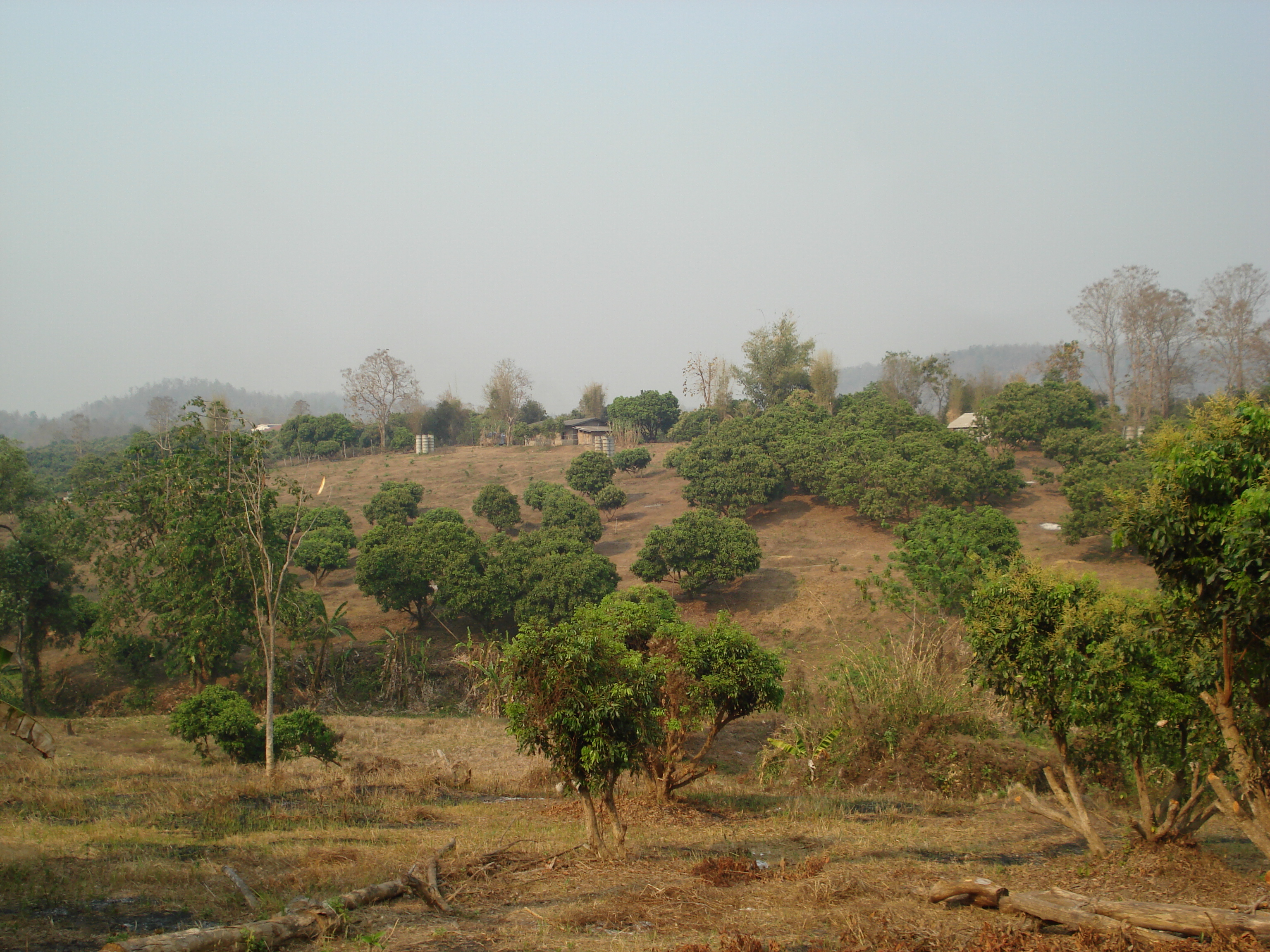 Photo Thaïlande Route de Chiang Mai à Pai 2007-02 98
