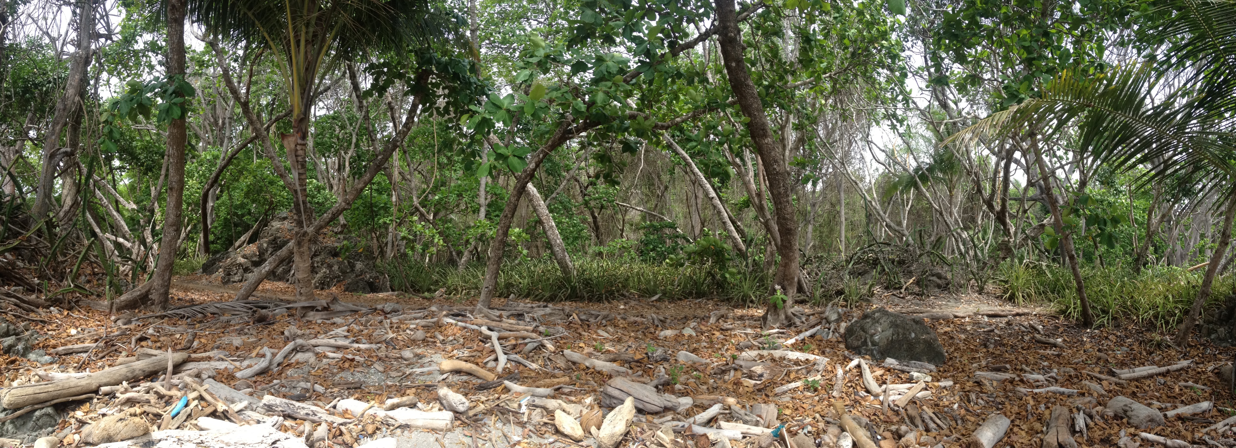 Photo Costa Rica Montezuma 2015-03 473