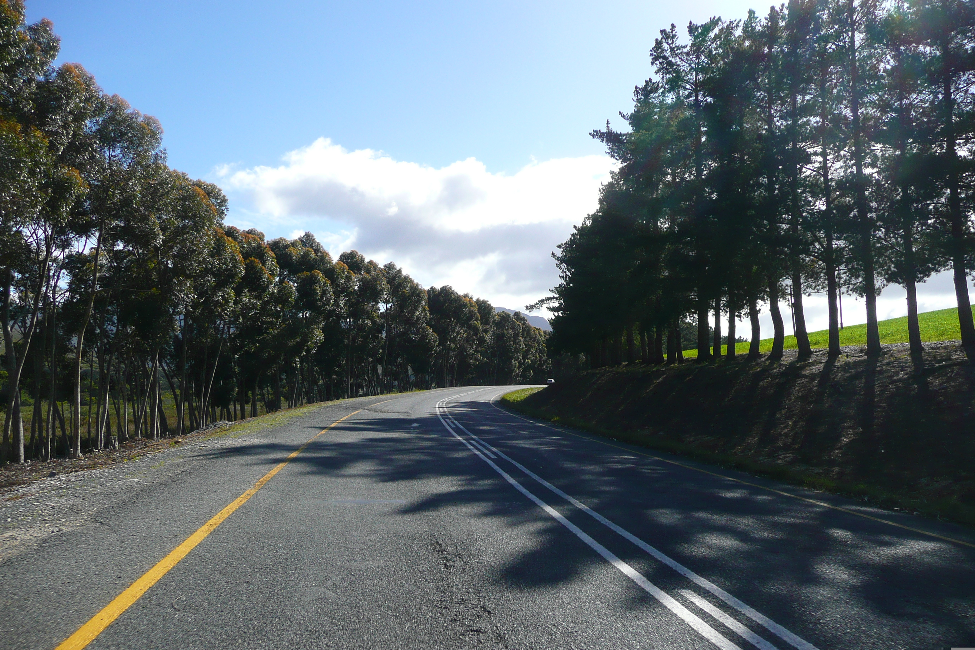 Photo Afrique du Sud Route de Harmanus à Knysna 2008-09 137