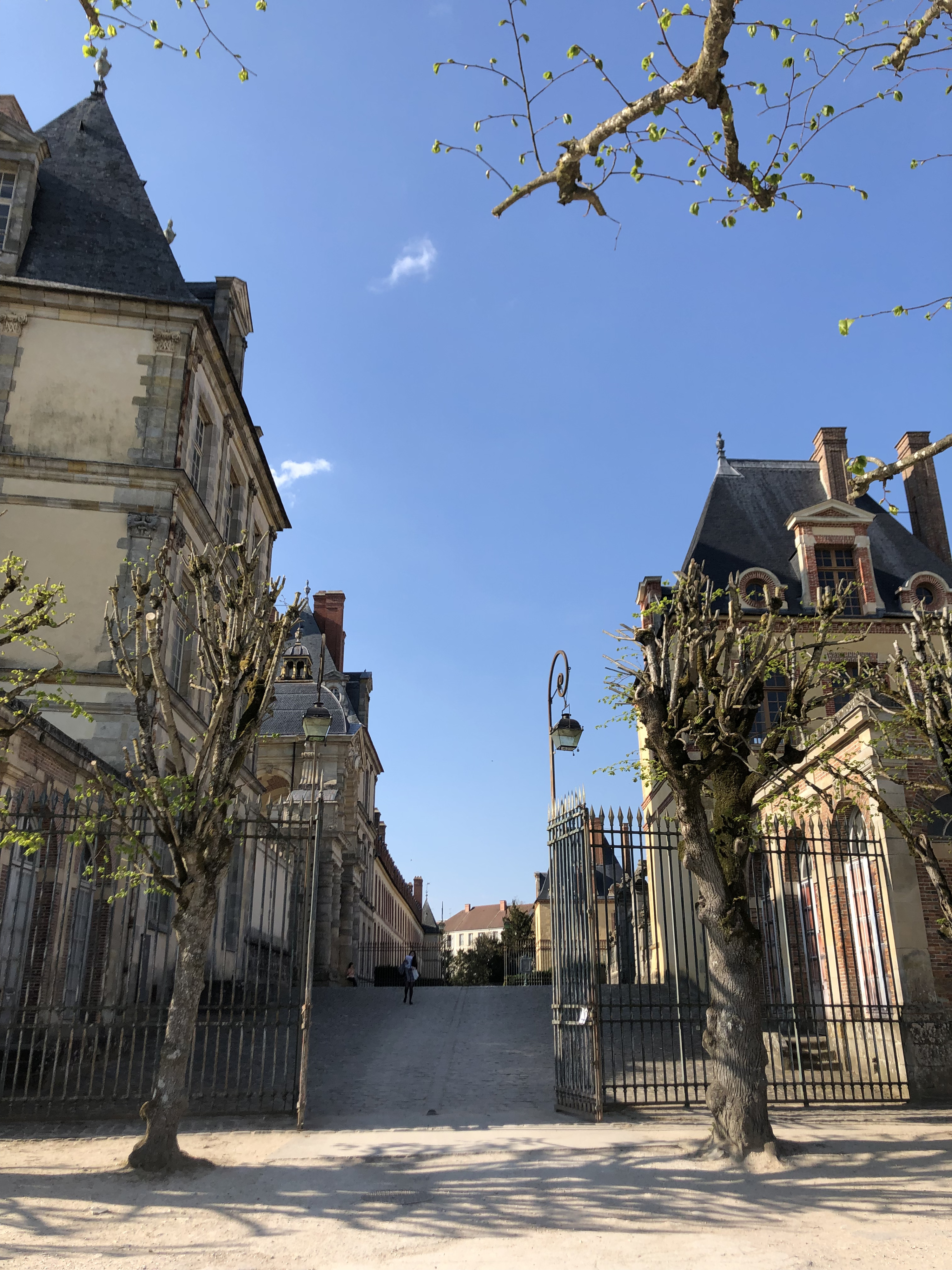 Photo France Fontainebleau 2019-04 224