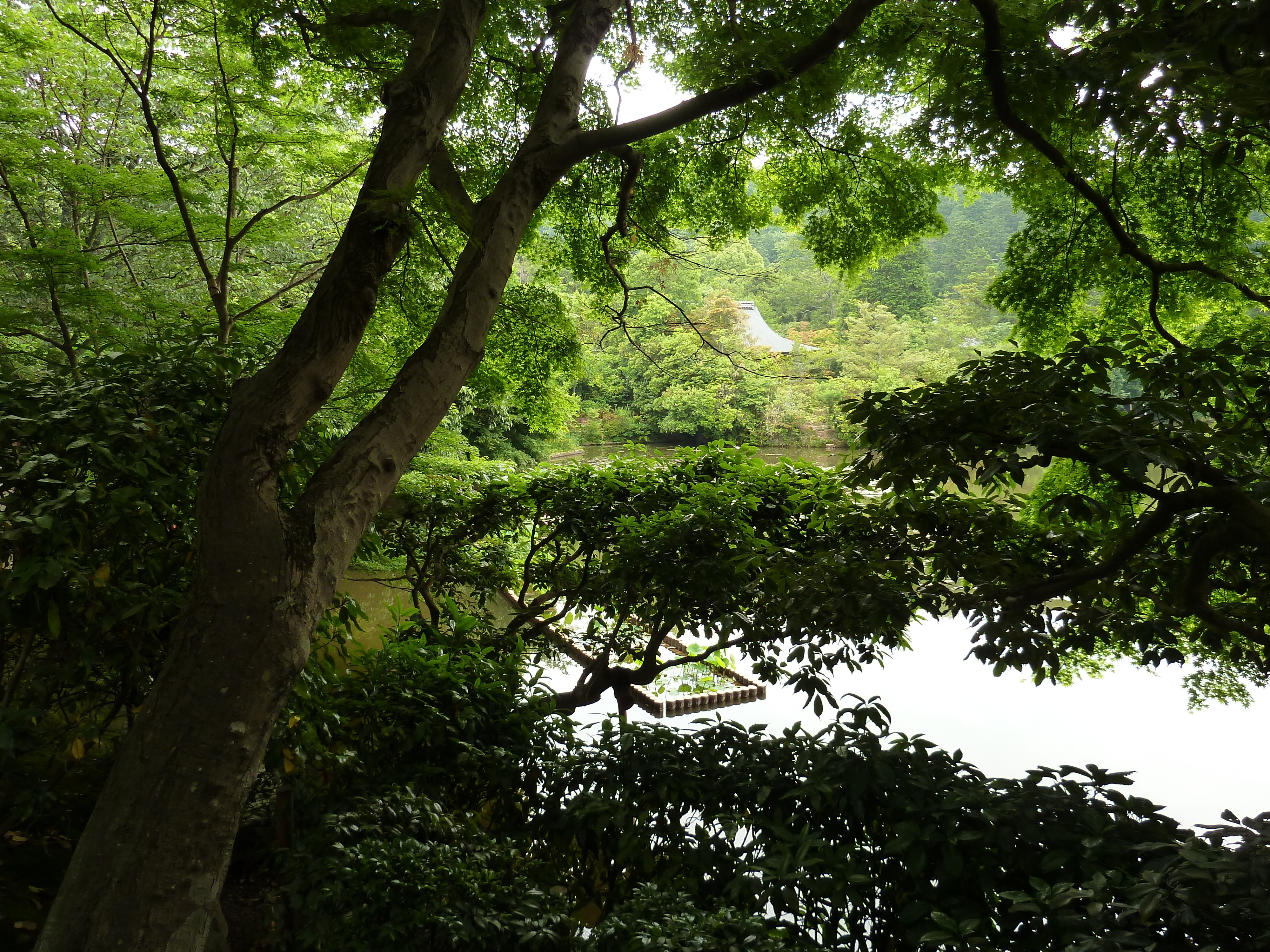 Photo Japon Kyoto temple Ryoanji 2010-06 47
