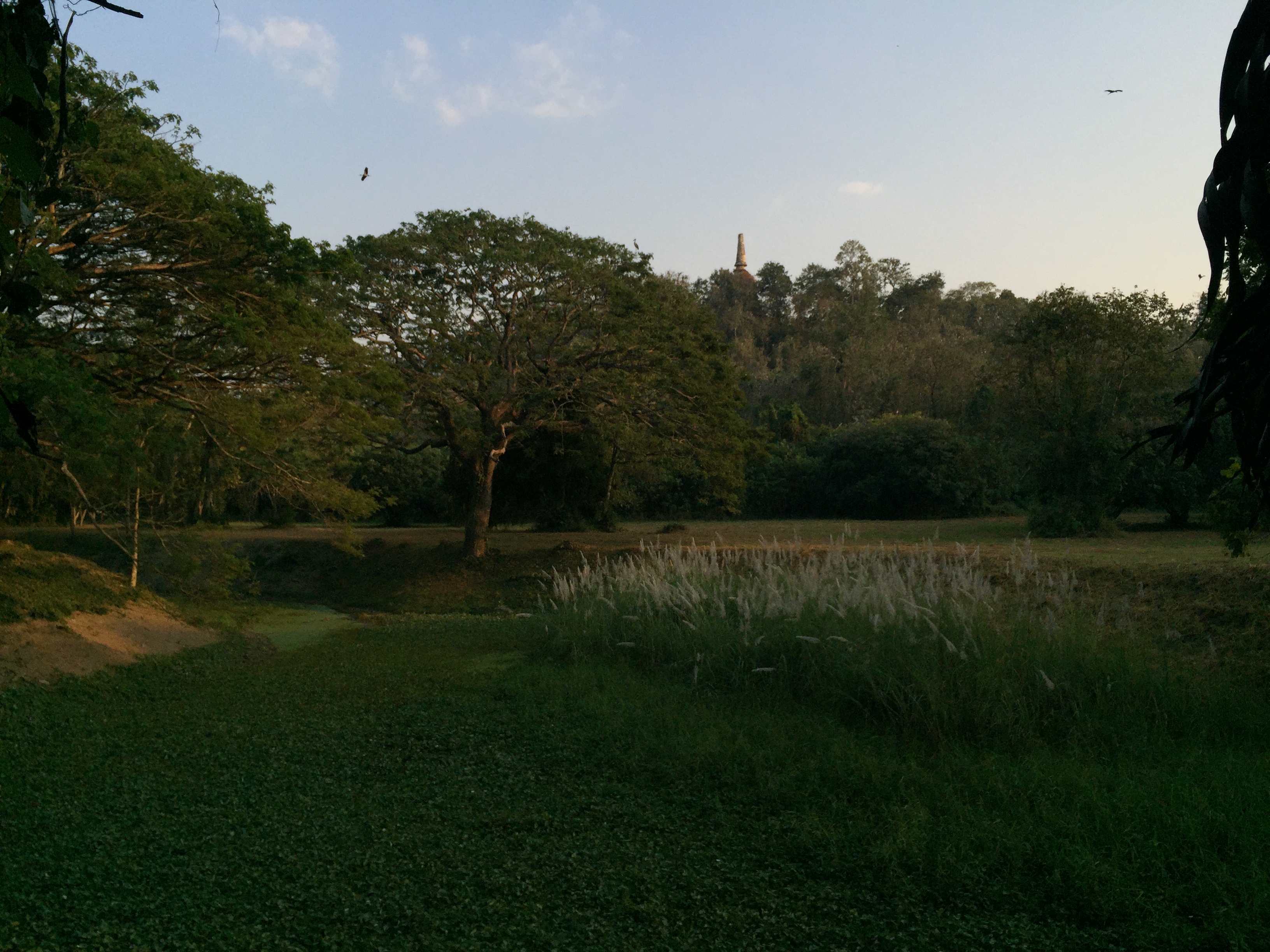 Photo Thaïlande Parc Si satchanalai 2014-12 55