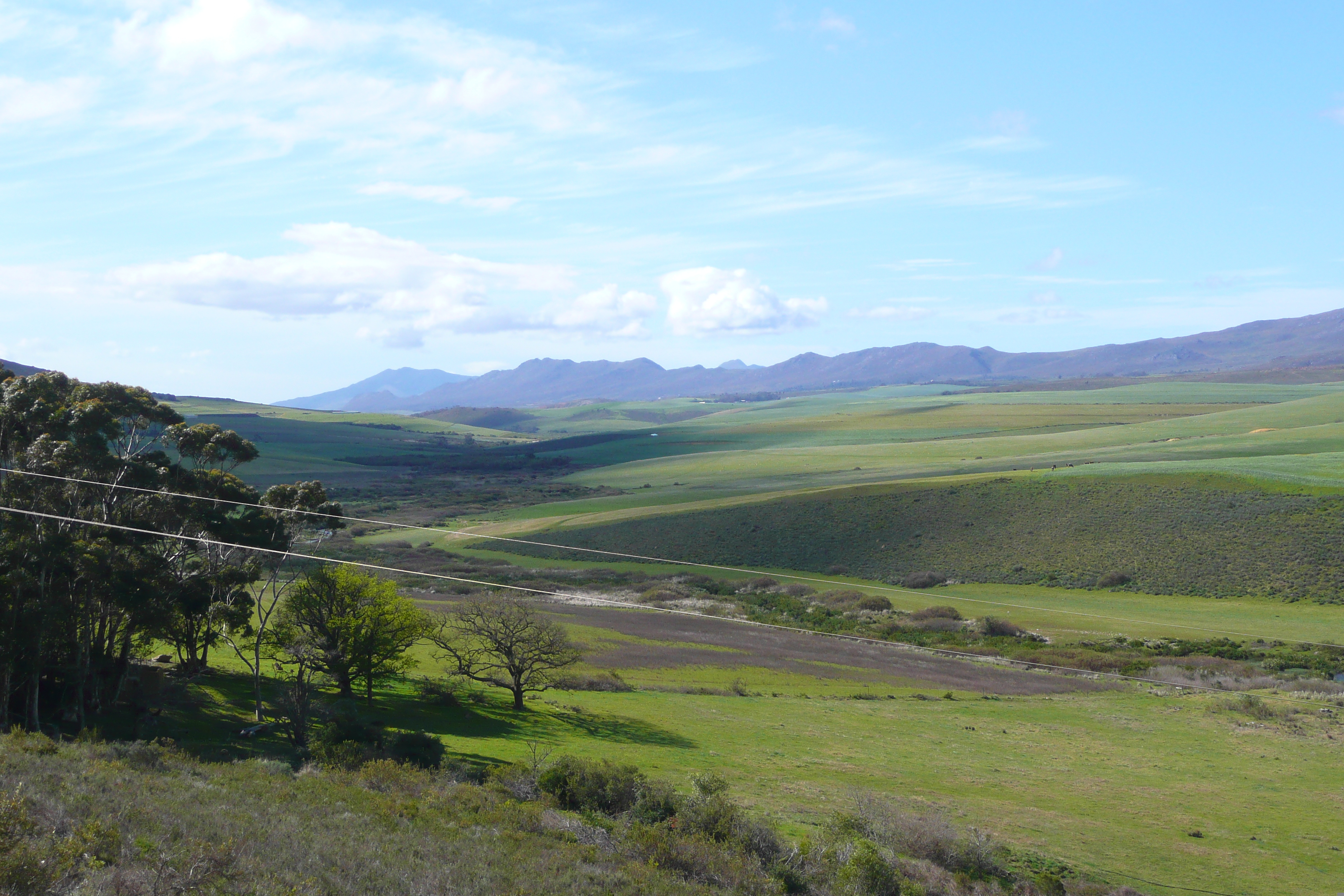 Photo Afrique du Sud Route de Harmanus à Knysna 2008-09 150