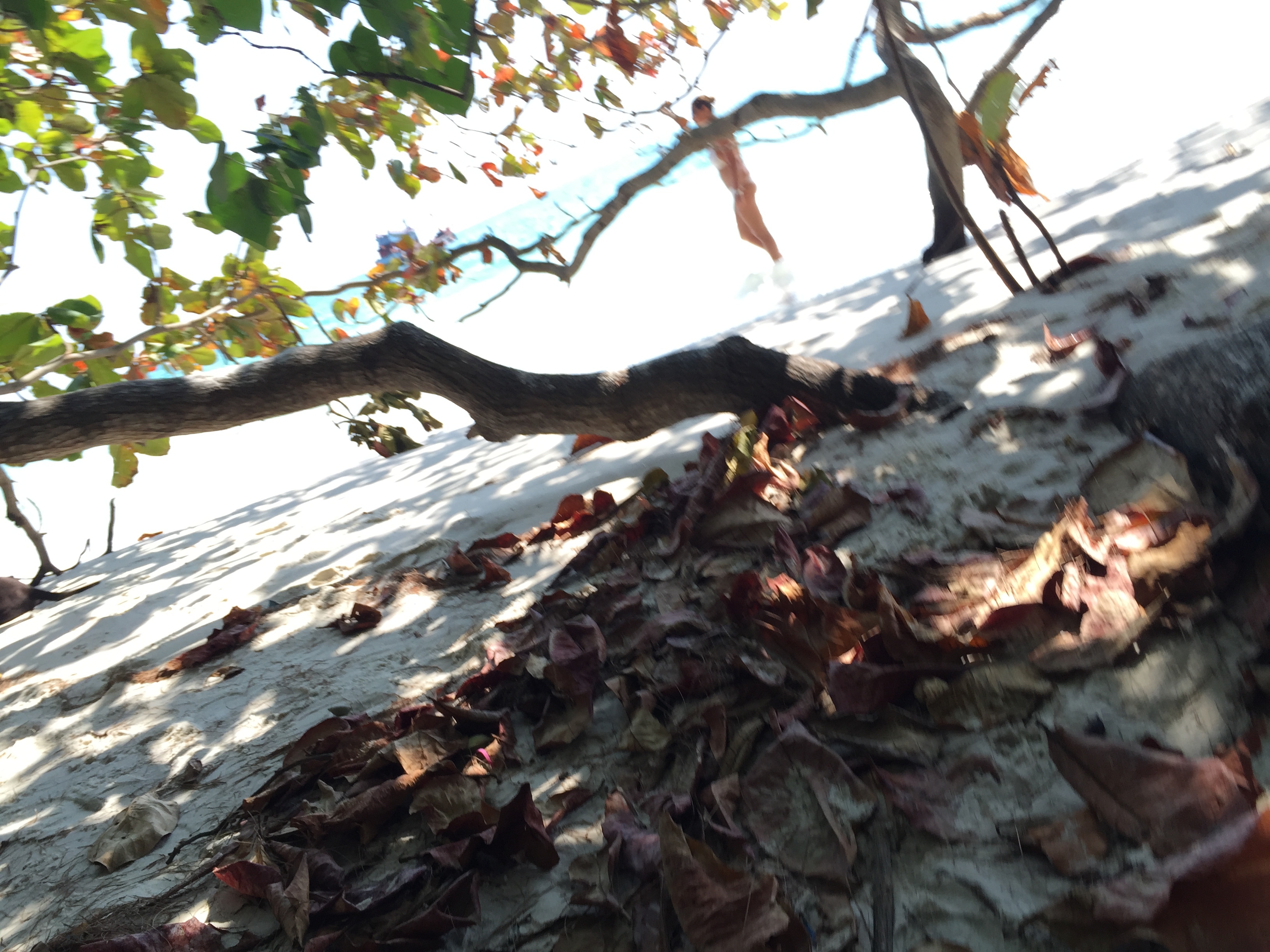 Photo Thaïlande Ko Samet 2016-01 88