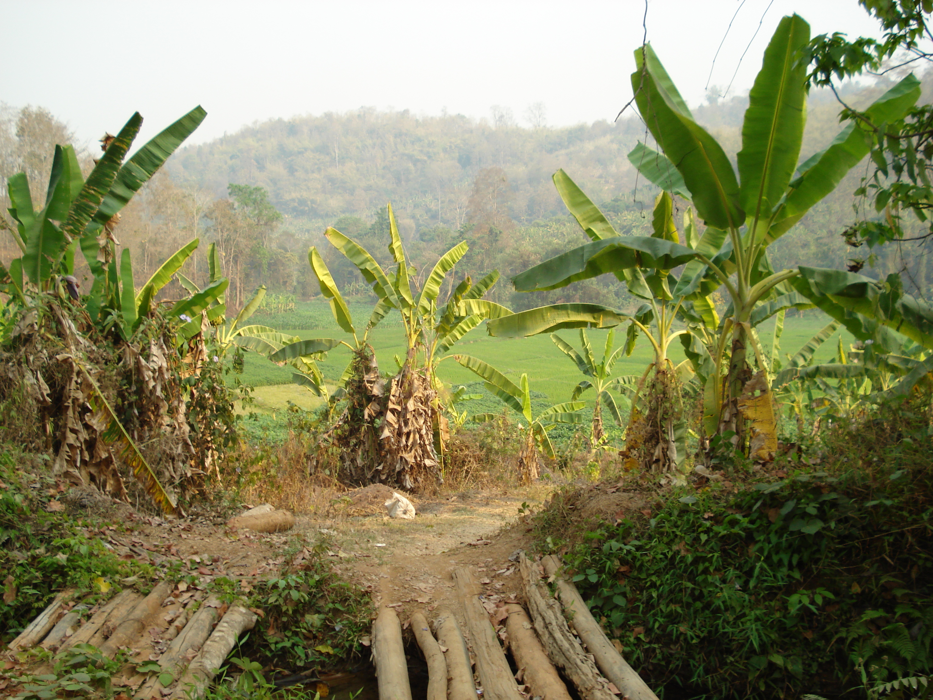 Photo Thaïlande Route de Chiang Mai à Pai 2007-02 178