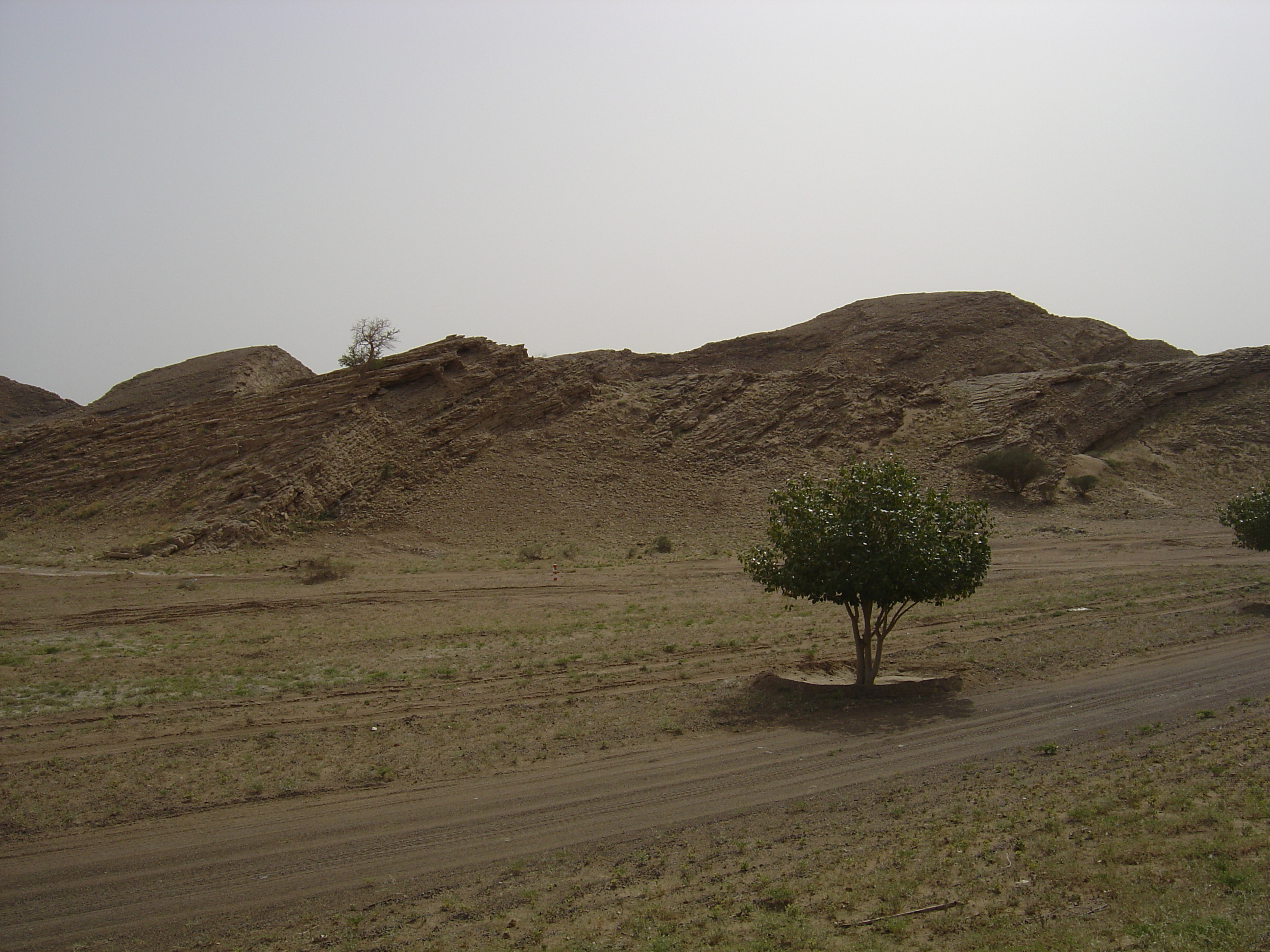 Photo Oman Route de Buraimi à Sohar 2005-03 2
