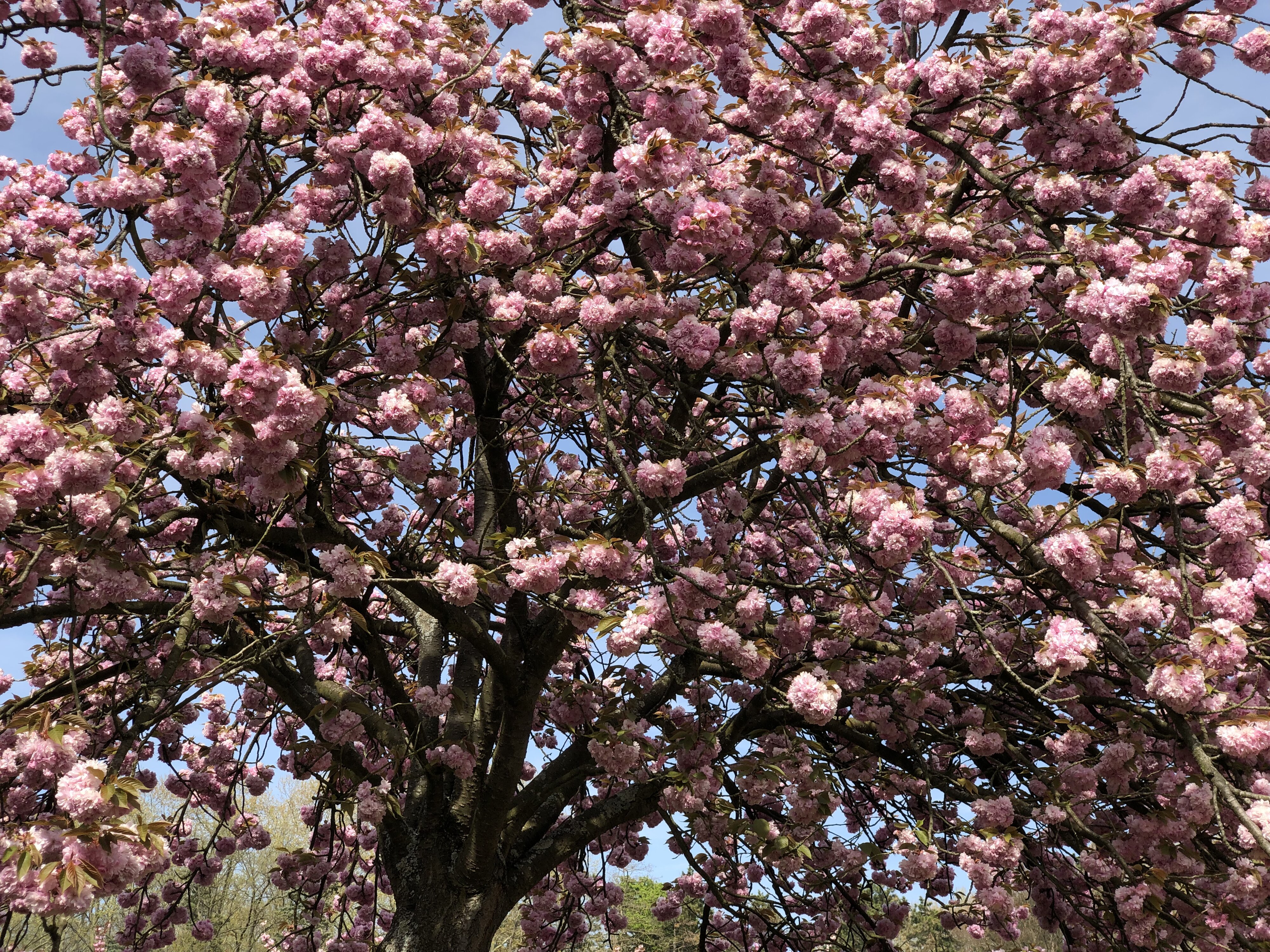 Photo France Parc de Sceaux 2019-04 81