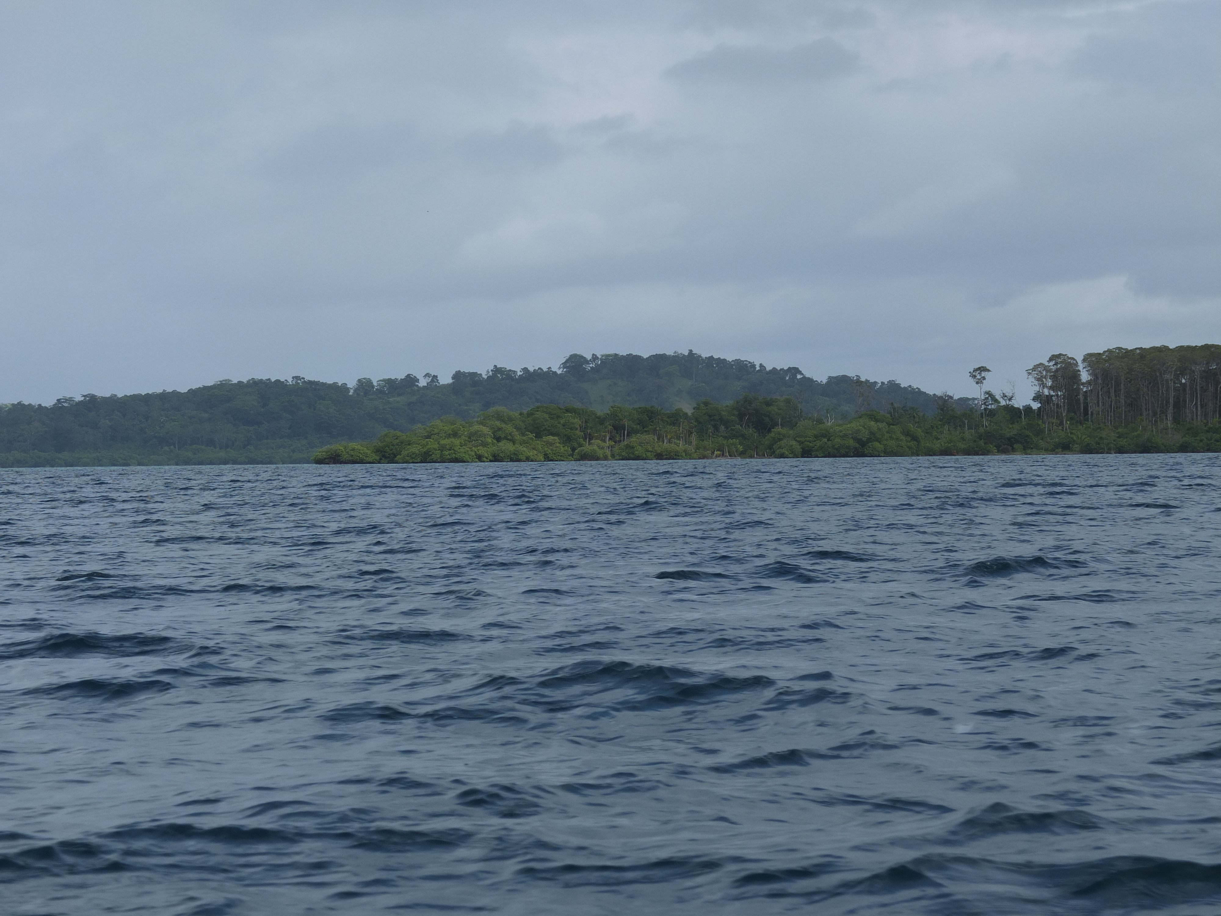 Photo Panama Bocas del toro 2015-03 46