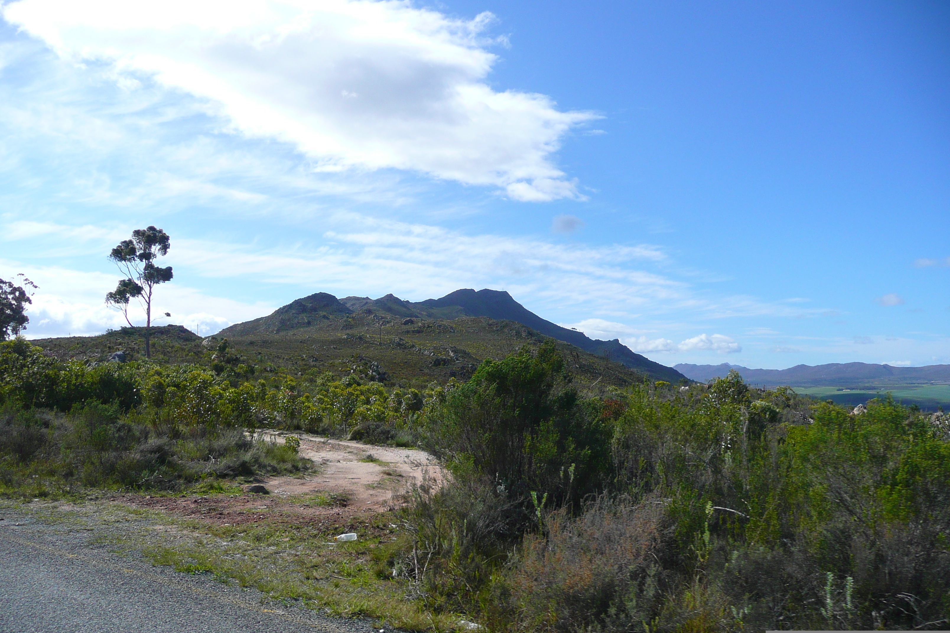 Photo Afrique du Sud Route de Harmanus à Knysna 2008-09 36