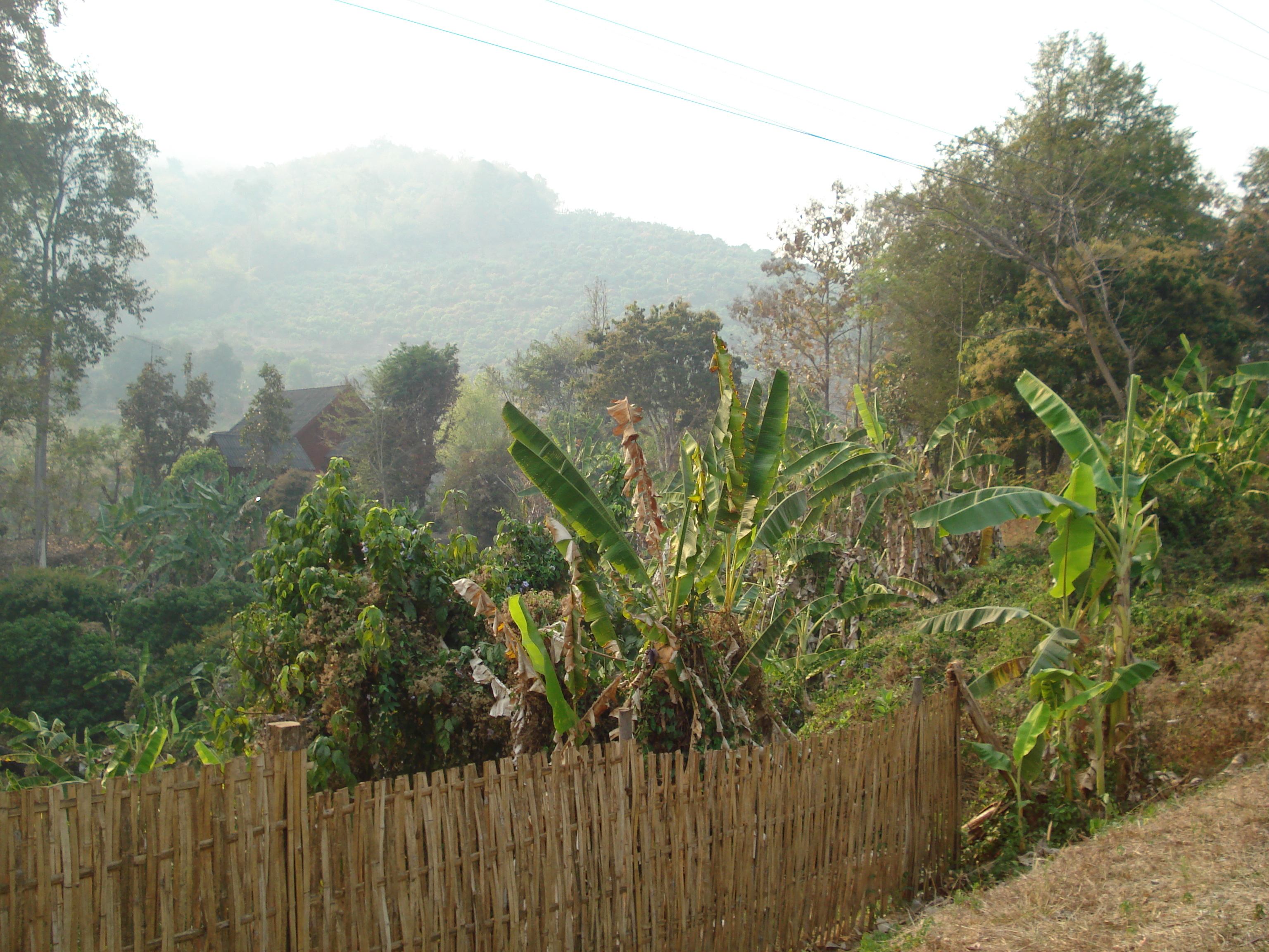Photo Thaïlande Route de Chiang Mai à Pai 2007-02 20