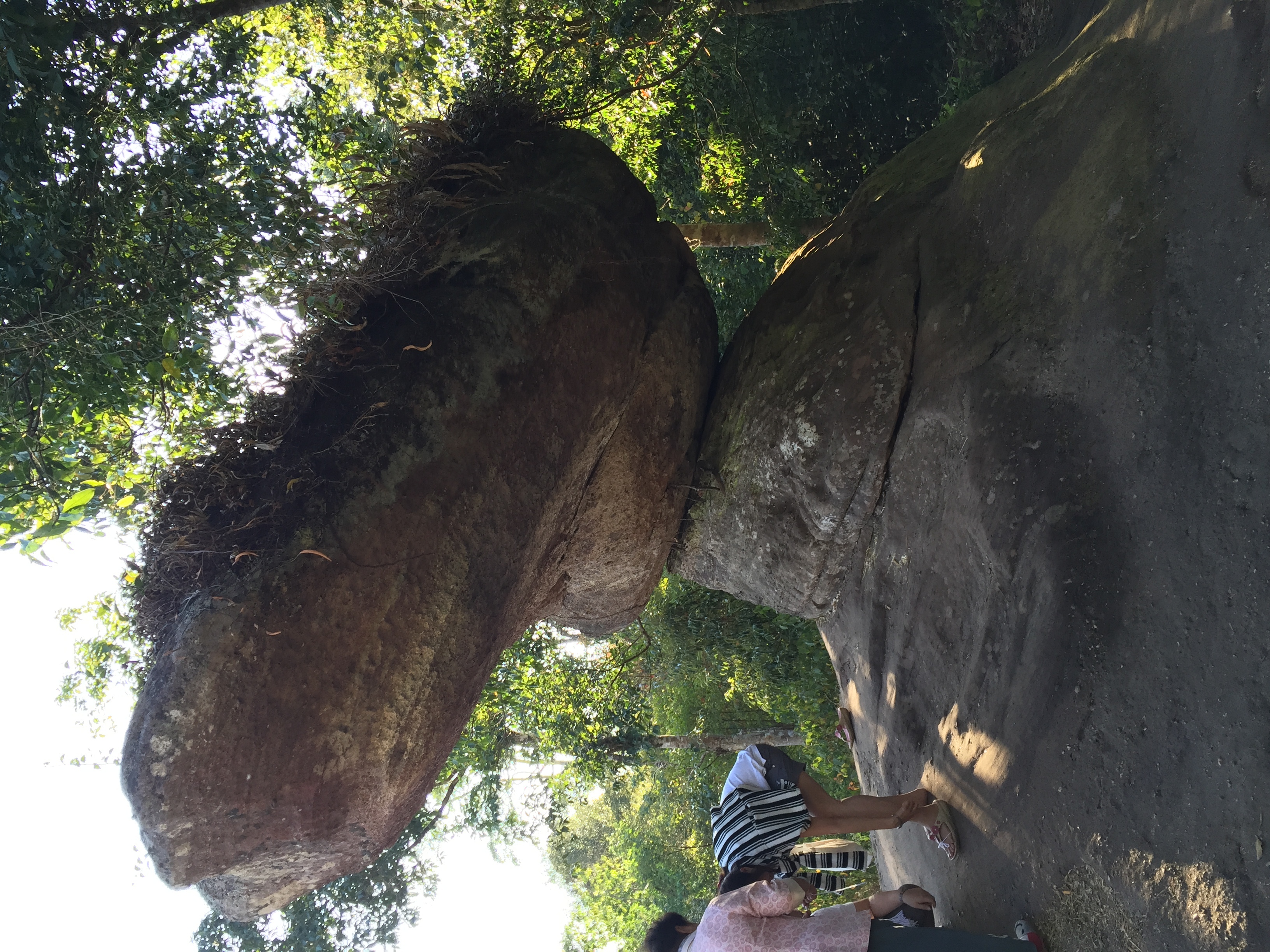 Photo Thaïlande Parc National Phu Hin Rong Kla 2014-12 238