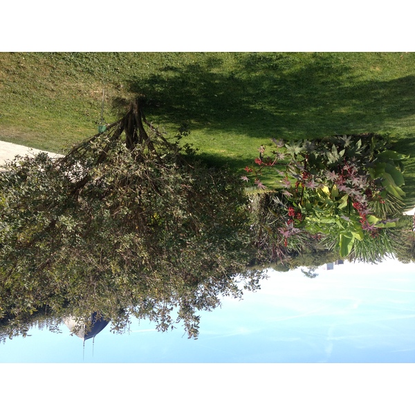 Photo France Paris Jardin des Plantes 2014-09 21