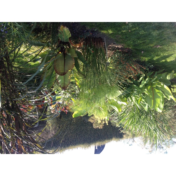 Photo France Paris Jardin des Plantes 2014-09 6