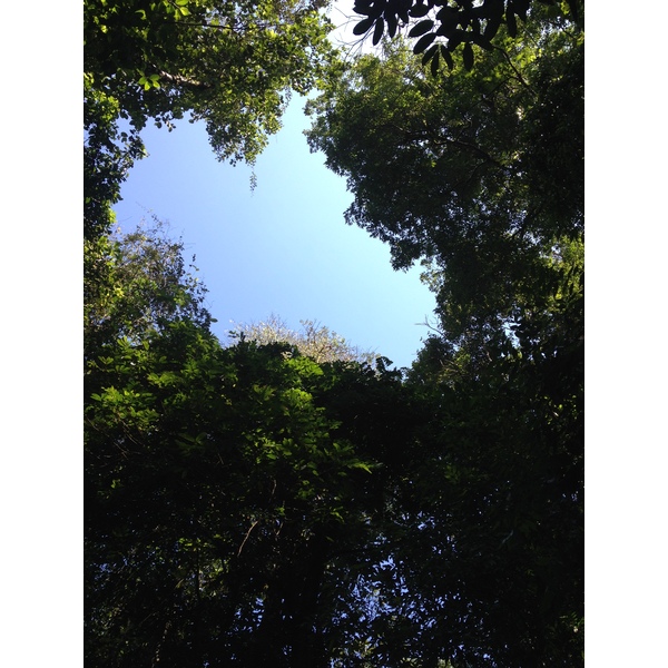 Photo Costa Rica Parc Manuel Antonio 2015-03 274