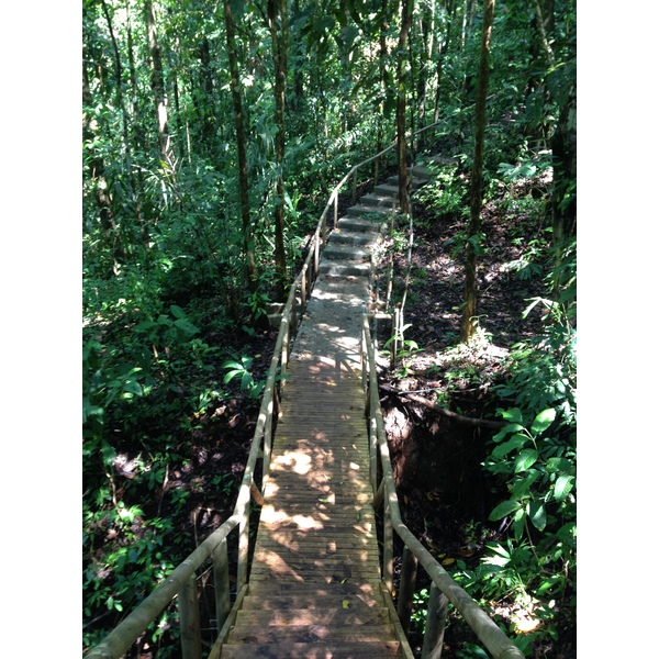 Photo Costa Rica Parc Manuel Antonio 2015-03 139
