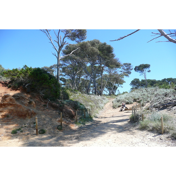 Photo France Ile de Porquerolles Plage de la Courtade 2008-05 5