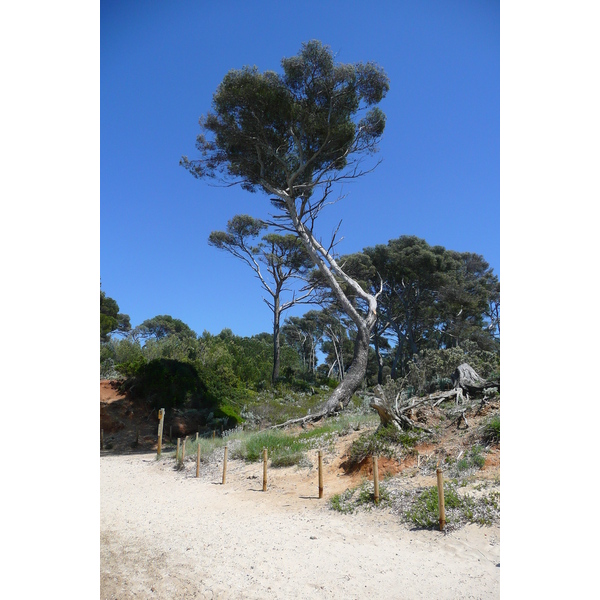 Photo France Ile de Porquerolles Plage de la Courtade 2008-05 63