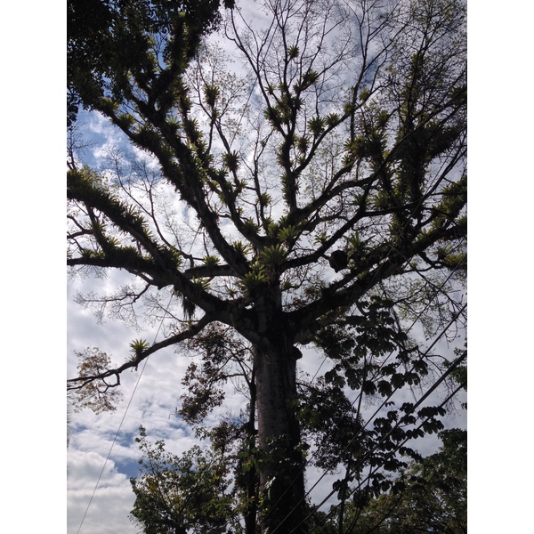 Photo Costa Rica 2015-03 87