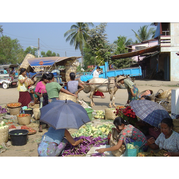 Photo Birmanie (Myanmar) Dawei (TAVOY) 2005-01 94