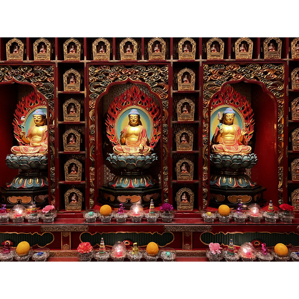 Photo Singapour China Town 2023-01 59
