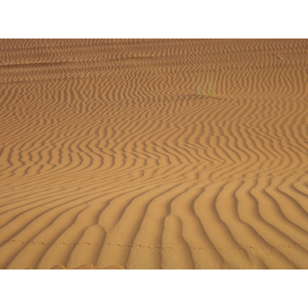 Photo Émirats arabes unis Al Ain Desert 2005-11 4