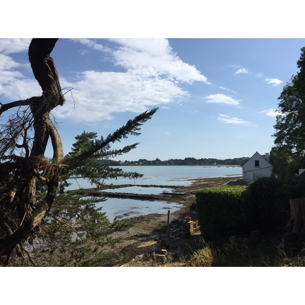 Photo France Île-aux-Moines 2016-08 59