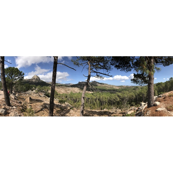 Photo France Corse Forêt de l'Ospedale 2017-09 12