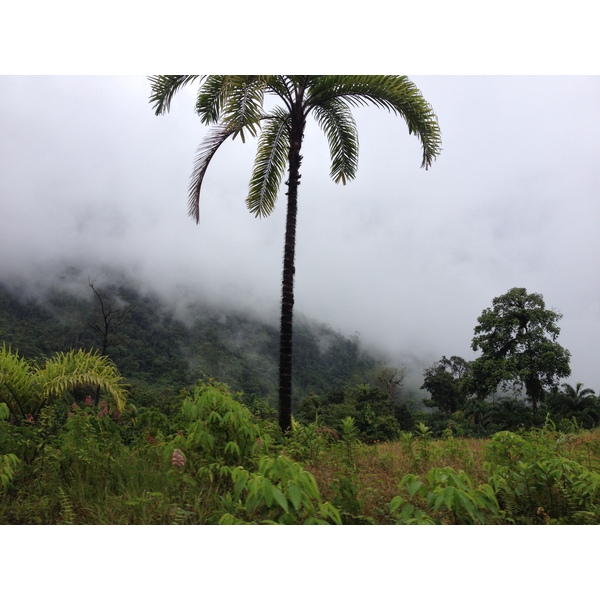 Photo Panama David à Bocas del toro 2015-03 84