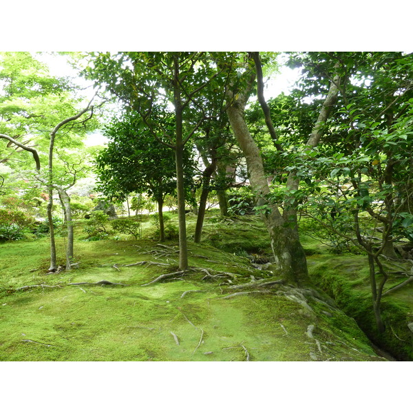 Photo Japon Kyoto Temple Ginkaku-ji (Pavillon d'argent) 2010-06 42