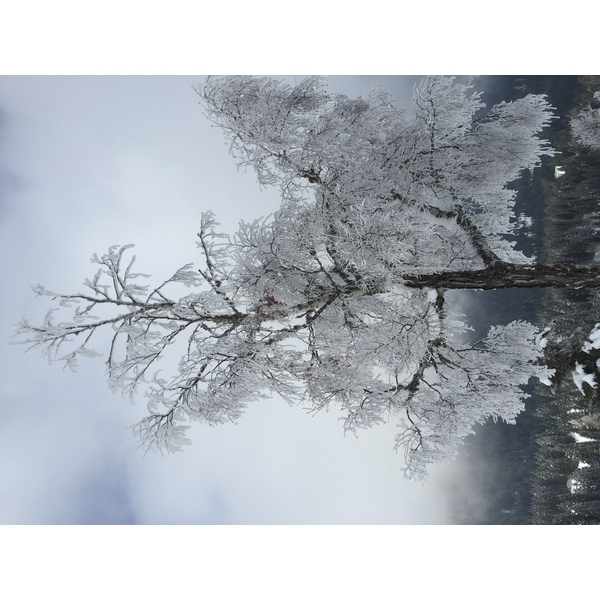 Photo France Megève 2016-02 16