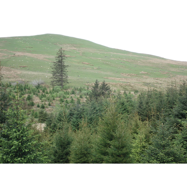 Photo Royaume-Uni Parc national des Brecon Beacons 2006-05 94