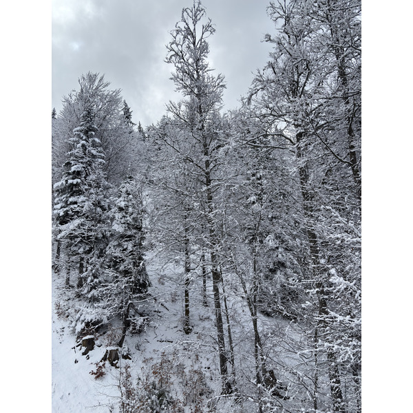 Photo France Praz sur Arly 2025-02 106