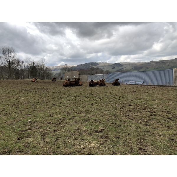 Photo France Dienne 2018-04 12