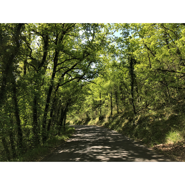 Photo France Floirac 2018-04 130