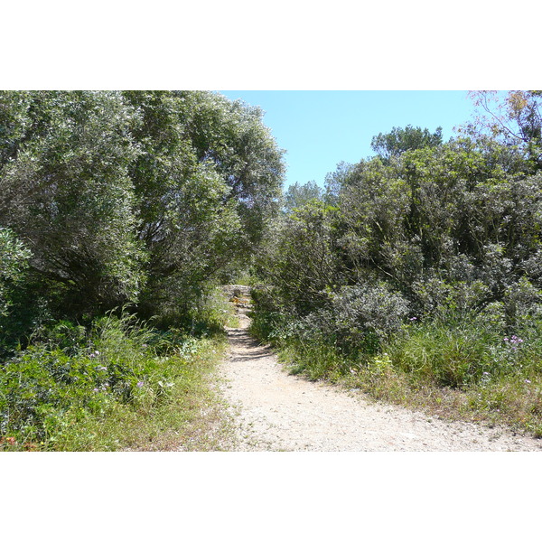 Photo France Ile de Porquerolles Pointe Bearlieu 2008-05 6