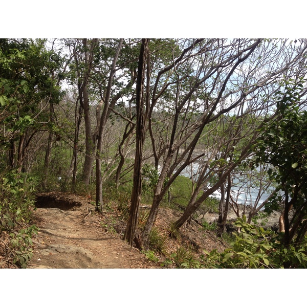 Photo Costa Rica Montezuma 2015-03 421