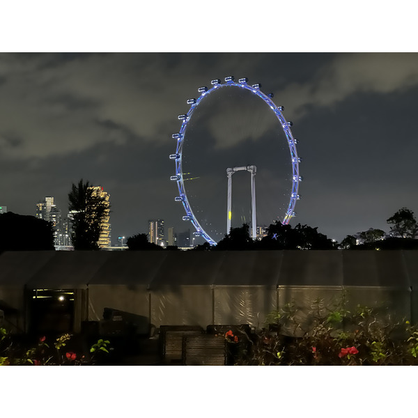 Photo Singapour Garden by the bay 2023-01 38
