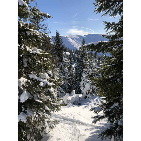 Photo France Praz sur Arly 2019-12 517