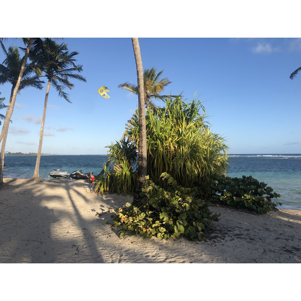 Photo Guadeloupe Plage de la Caravelle 2021-02 131