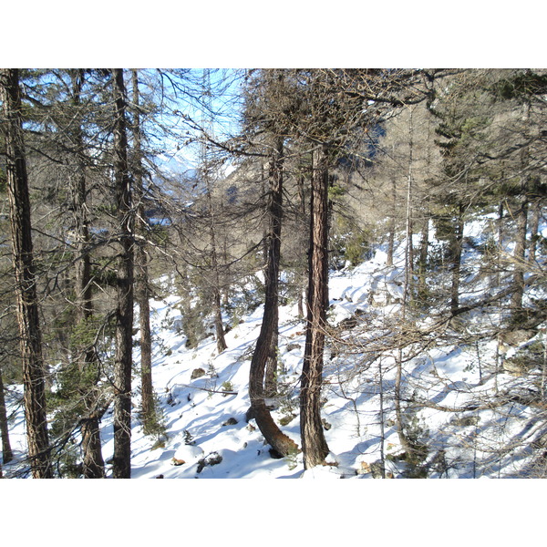Photo Suisse Route de Pontresina au Lac Blanc 2007-01 8