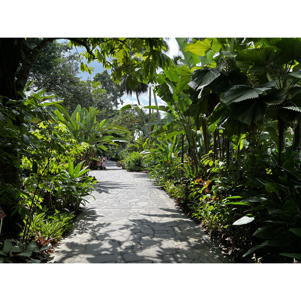 Photo Singapour Jardins botaniques de Singapore 2023-01 81