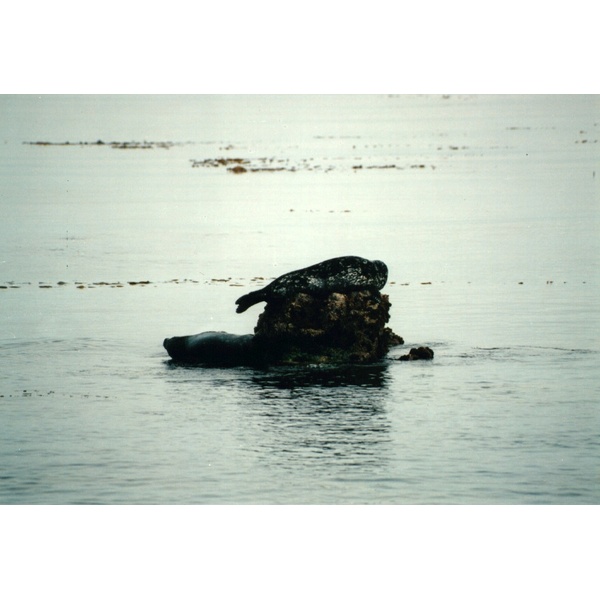 Photo États-Unis Californie 1992-08 9