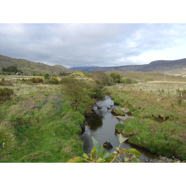 Photo Irlande Kerry Parc National de Killarney 2004-05 9
