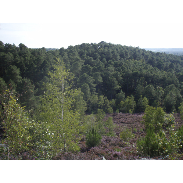 Photo France Fontainebleau Circuit des 25 bosses 2007-08 106