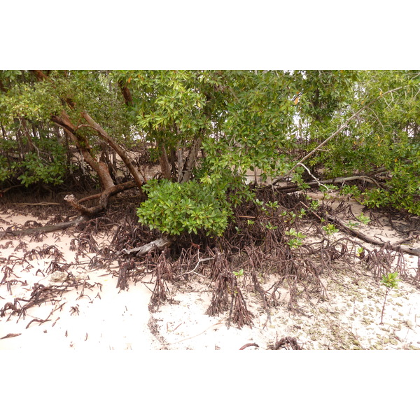 Photo Seychelles Curieuse 2011-10 38