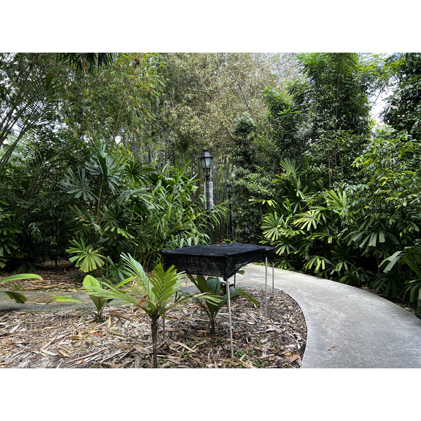 Photo Singapour Jardins botaniques de Singapore 2023-01 120